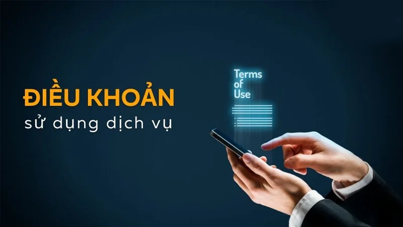 Người chơi cần tuân thủ điều khoản mà 8XBET đưa ra
