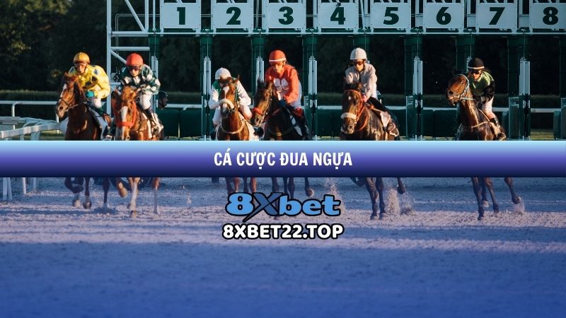 Cá Cược Đua Ngựa 8XBet - Hướng Diện Toàn Diện Cho Người Chơi
