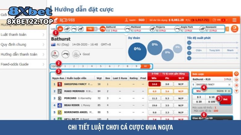 Chi tiết luật chơi cá cược đua ngựa