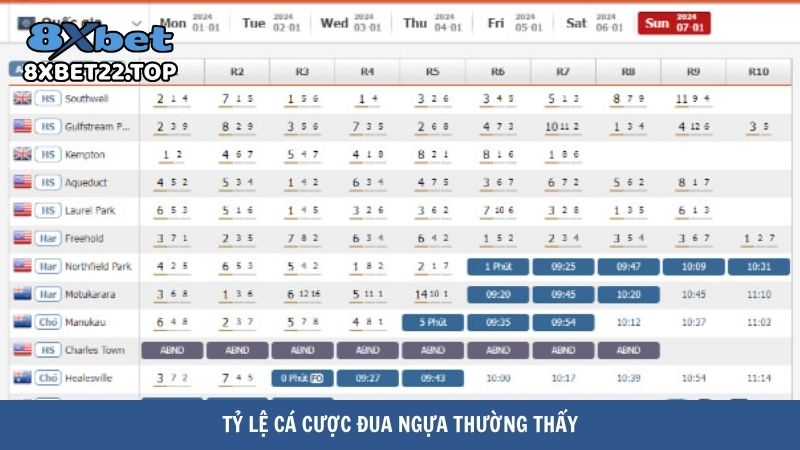 Tỷ lệ cá cược đua ngựa thường thấy