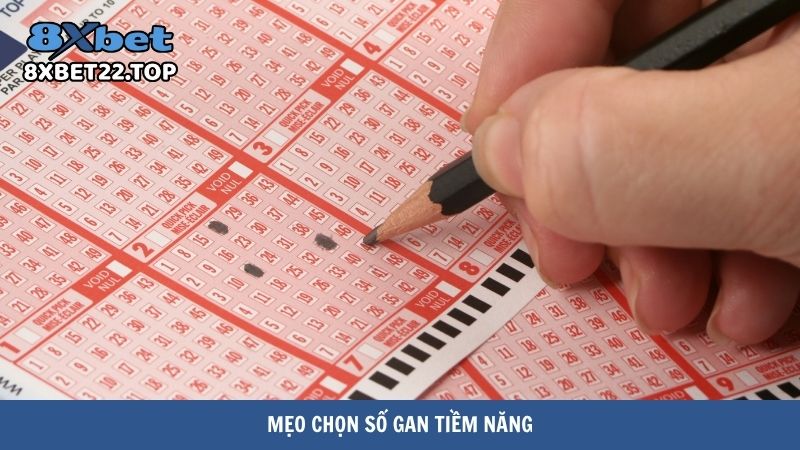 Mẹo chọn số gan tiềm năng