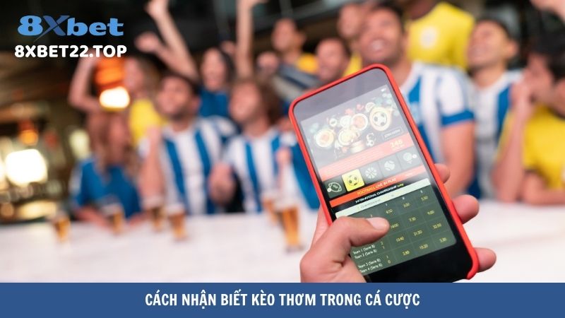 Cách nhận biết kèo thơm trong cá cược