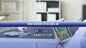Kinh nghiệm cá độ bóng đá 8xbet - Chia sẻ từ cao thủ