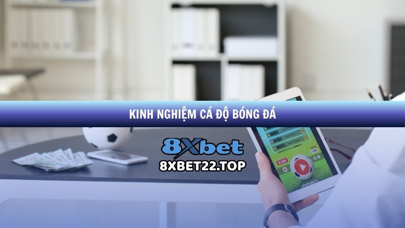 Kinh nghiệm cá độ bóng đá 8xbet - Chia sẻ từ cao thủ