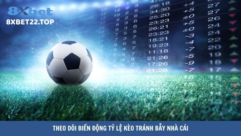 Theo dõi biến động tỷ lệ kèo tránh bẫy nhà cái
