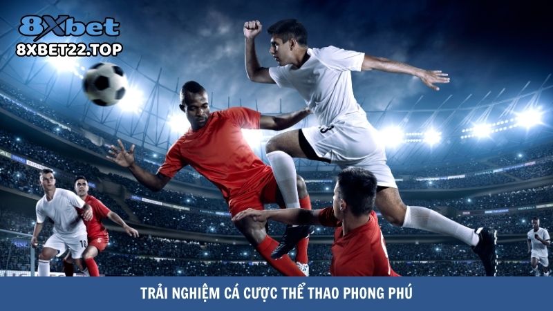 Trải nghiệm cá cược thể thao phong phú