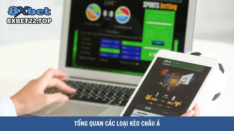 Tổng quan các loại kèo châu Á