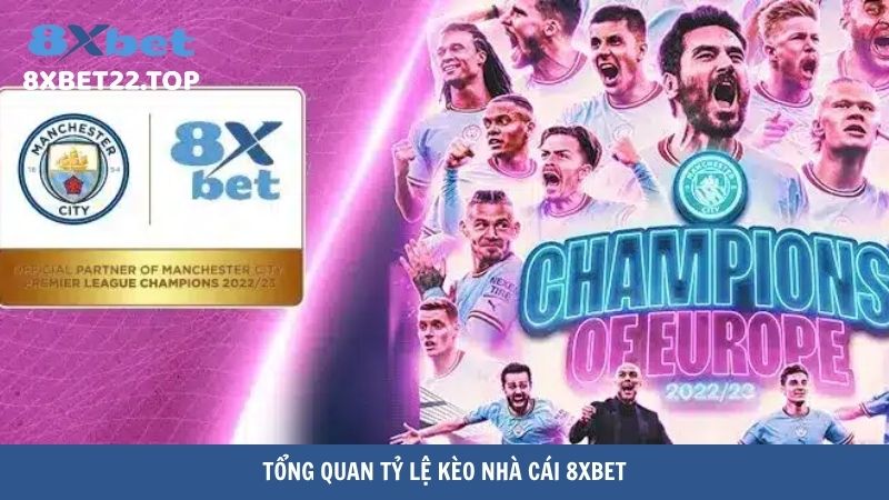 Tổng quan tỷ lệ kèo nhà cái 8XBet